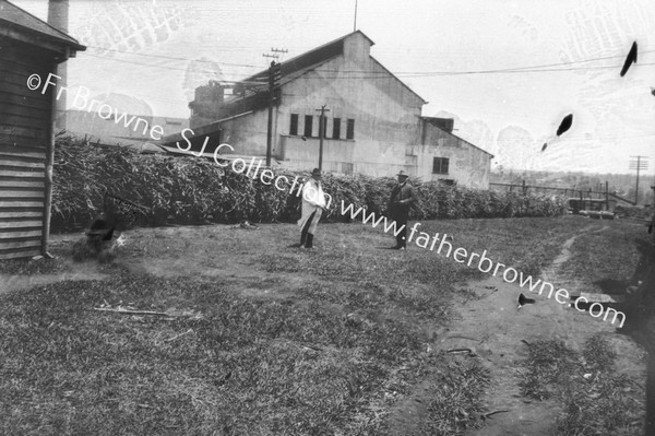 MORETON COMPANY SUGAR FACTORY